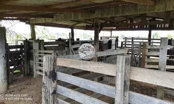 Imagem 4: Ariquemes - Sítio - 10 Alqueires