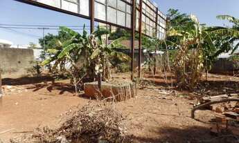 Imagem 1: GOIâNIA - Terreno Padrão - Jardim América