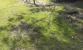 Imagem 6: Vendi sitio na montanha Nova Veneza SC