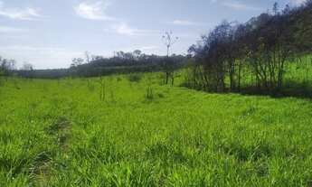 Imagem 5: Fazenda no município de recursolandia