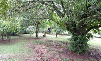 Imagem 5: Local alto e plano