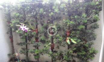 Imagem 7: Casa - Parque Imperador - Campinas