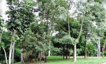 Imagem 3: SãO PAULO - Sobrado - JARDIM DAS BANDEIRAS