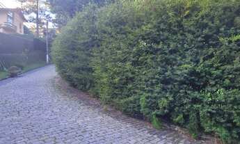 Imagem 3: Terreno em condomínio Albuquerque, 700m² plano