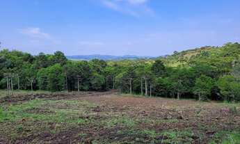Imagem 2: Terreno Rural Urubici/ imóvel Rural 2 hectares