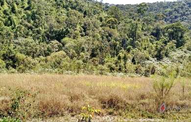 Imagem 4: PETRóPOLIS - Sítio - Posse