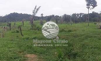 Imagem 2: Ariquemes - Sítio - 10 Alqueires a