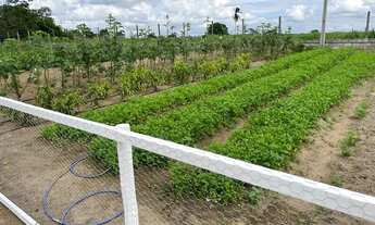 Imagem 5: FAZENDINHA TOP Fazenda / sítio com venda por R$870.000