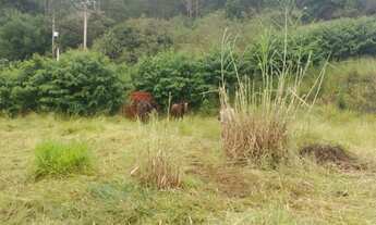 Imagem 5: Lote/Terreno de 20.000 m² em Piracaia - São Paulo