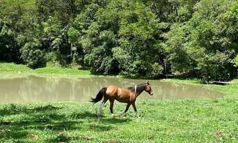 Imagem 2: Imóvel Rural/Terreno Rural