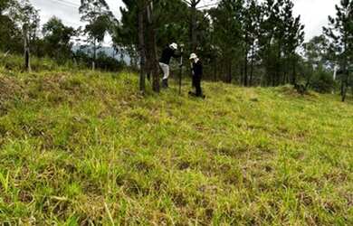 Imagem 5: GF3Últimos lotes por 50mil