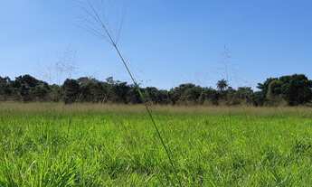 Imagem 4: Excelentes Fazendinhas de 20.000m² Financiadas em Baldim