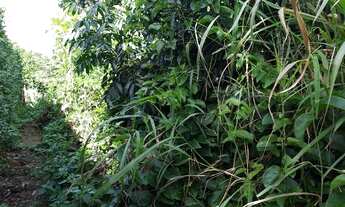 Imagem 6: TERRENO COM VISTA PARA O MAR e BAIRRO PATAMARES , oportunidade única em local valorizado e