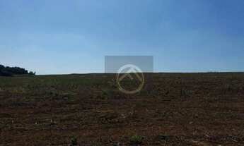 Imagem 4: Fazenda à venda, 677600 m² por R$ 8.500.000,00 - Centro - Nova Aurora/PR