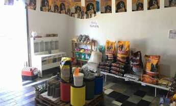 Imagem 5: Oportunidade, Anúncio retificado