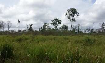 Imagem 2: Fazenda no Estado do Pará