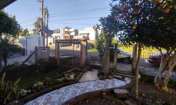 Imagem 3: DOIS IRMÃOS - Terreno Padrão - Industrial