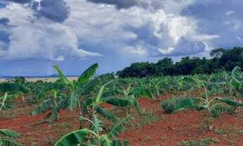 Imagem 4: Oportunidade! Vende-se uma excelente fazenda de 8 Alqueires