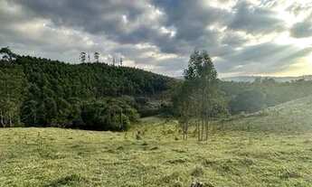 Imagem 6: Vende-se lote com metragem de 600m² com excelente topografia