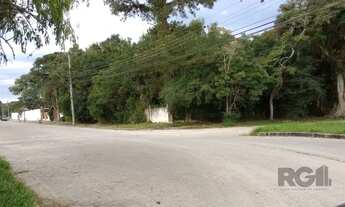 Imagem 3: Terreno em Belém Novo