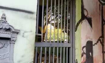 Imagem 3: Apartamento em Cidade das Flores - Osasco