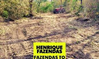 Imagem 6: Fazenda dupla aptidão região de Rio Sono Tocantins