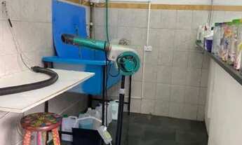 Imagem 4: Vende-se petshop com banho e tosa