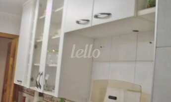 Imagem 6: São Paulo - Apartamento Padrão - Vila Medeiros