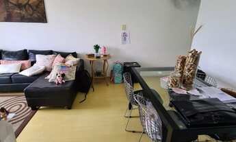 Imagem 1: VENDO Lindo Apartamento 03 quartos, 1banheiro,1vaga Jardim Jaqueline Butantã SP 64m2