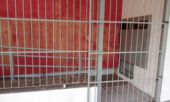 Imagem 6: Linda loja comercial no coração do bairro São Geraldo