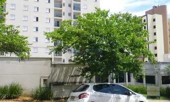 Imagem 2: Apartamento - São Bernardo - Campinas