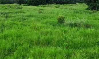 Imagem 6: FAZENDA RELIQUUA