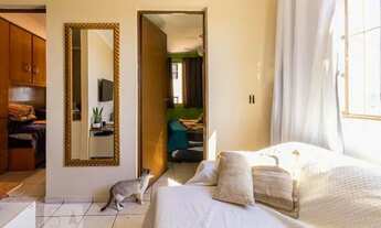 Imagem 4: Apartamento para Aluguel - Jardim Maria Rita, 2 Quartos, 50 m2