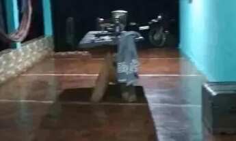 Imagem 5: Casa piscina. 4 km de Piri! Espaço todo pra você!