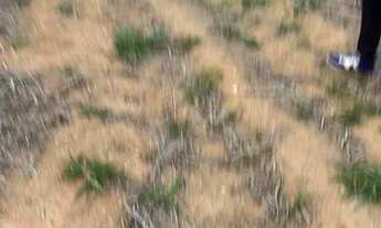 Imagem 4: Lote/Terreno para venda com 500 metros quadrados em Usina - Atibaia - SP