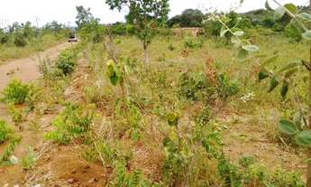 Imagem 4: Área 6.600 MTS - Excelente Preço pra vender hoje