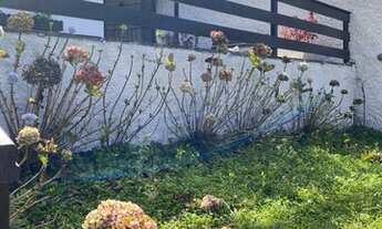 Imagem 3: Casa para venda com 3 quartos em Parque Dom João VI - Nova Friburgo - RJ