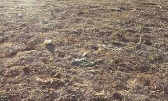 Imagem 6: Lote em Cedral Terreno / lote com venda por R$90.000