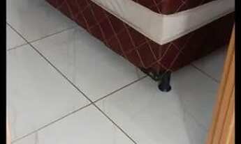 Imagem 6: Aluga-se apartamento