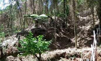 Imagem 3: Terreno no Alto do Capivari Campos do Jordão