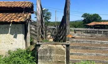 Imagem 5: Fazenda - Centro - Montes Claros
