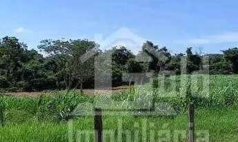 Imagem 3: Sítio à venda, 193600 m² por R$ 2.000.000 - Zona Rural - Santa Rosa de Viterbo/SP