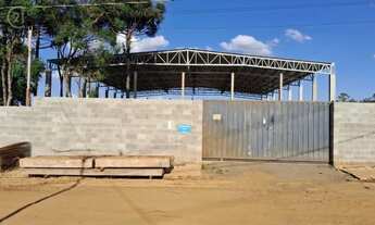 Imagem: Barracão para alugar em Londrina, Parque