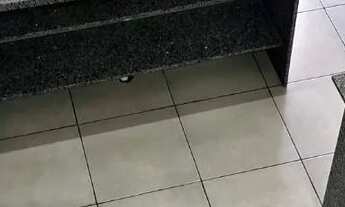 Imagem: Alugokitinet