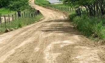 Imagem: Terreno perto da Rodovia Castelo Branco