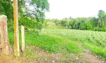 Imagem 6: Sítio - Área Rural de Mogi Guaçu - Mogi Guaçu