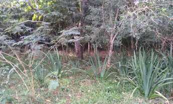 Imagem 5: Chácara com Riacho