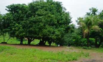 Imagem 6: Beira da Represa em Cascalho Rico