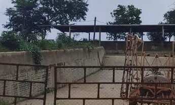 Imagem 5: Sítio 10 alqueires em Edeia-Go