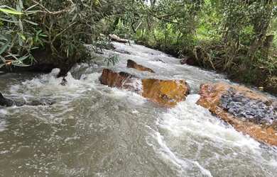 Imagem 4: Chácara para Venda Brazlândia, Brasília